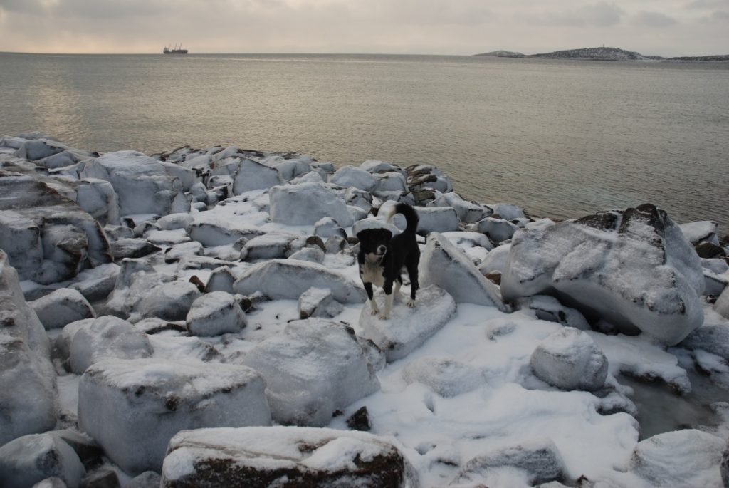 Laakkuluk weather season