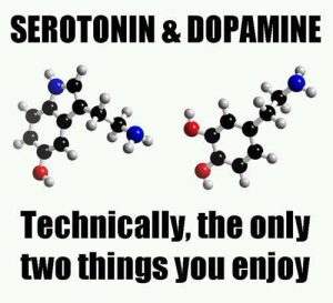 serotonindopamine