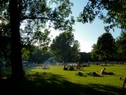 Lush city park in the summer time. People lounging in grass, crossing on bikes, bbqing.