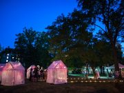 Tents with pink and yellow lights inside. In a grove of trees.